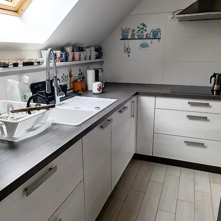 Apartman Loft Pejic - Open Space Loft Near Bovec, Soca Valley *