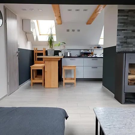 Loft Pejic - Open Space Loft Near Bovec, Soca Valley * 博维茨